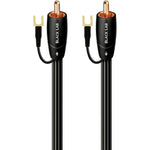 AudioQuest Black Lab RCA male to male subwoofer cable front view