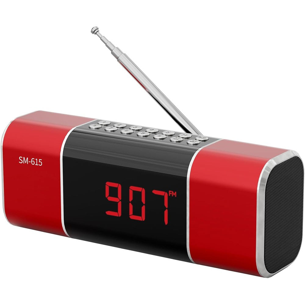 Semier digital FM radio and Bluetooth speaker front view