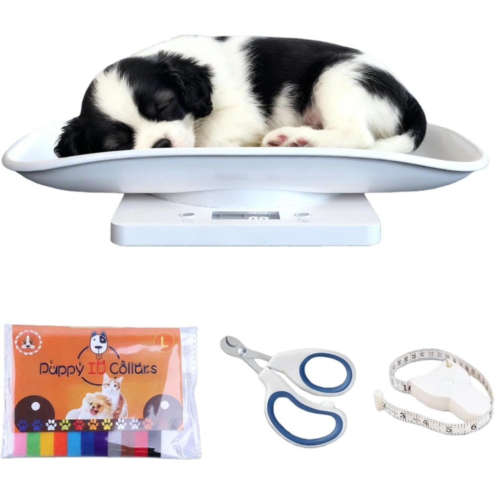 YTCYKJ digital pet scale with tray front view