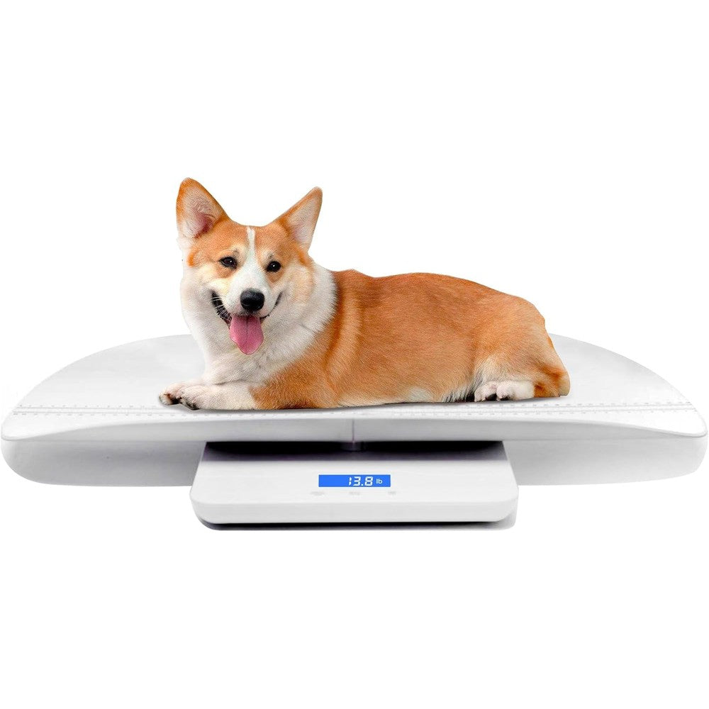Mindpet-Med digital pet and baby scale front view
