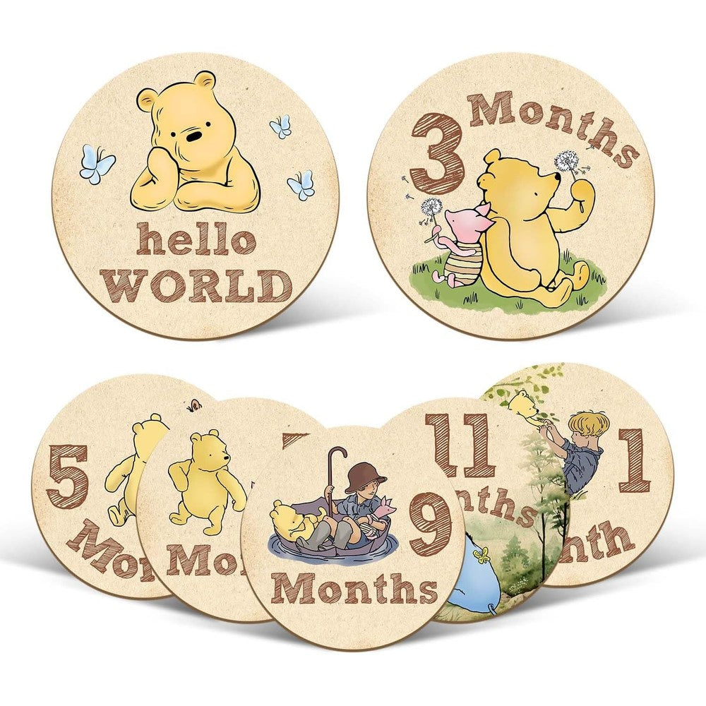 ALodr Winnie Baby Monthly Milestone Markers front view of seven wooden discs arranged neatly with the storage bag