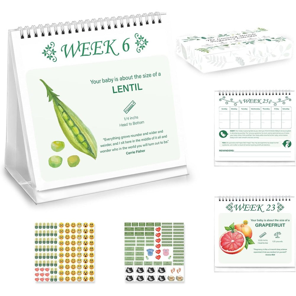TQQBUU pregnancy calendar weekly front view showing fruit size comparison illustration on a desktop stand.