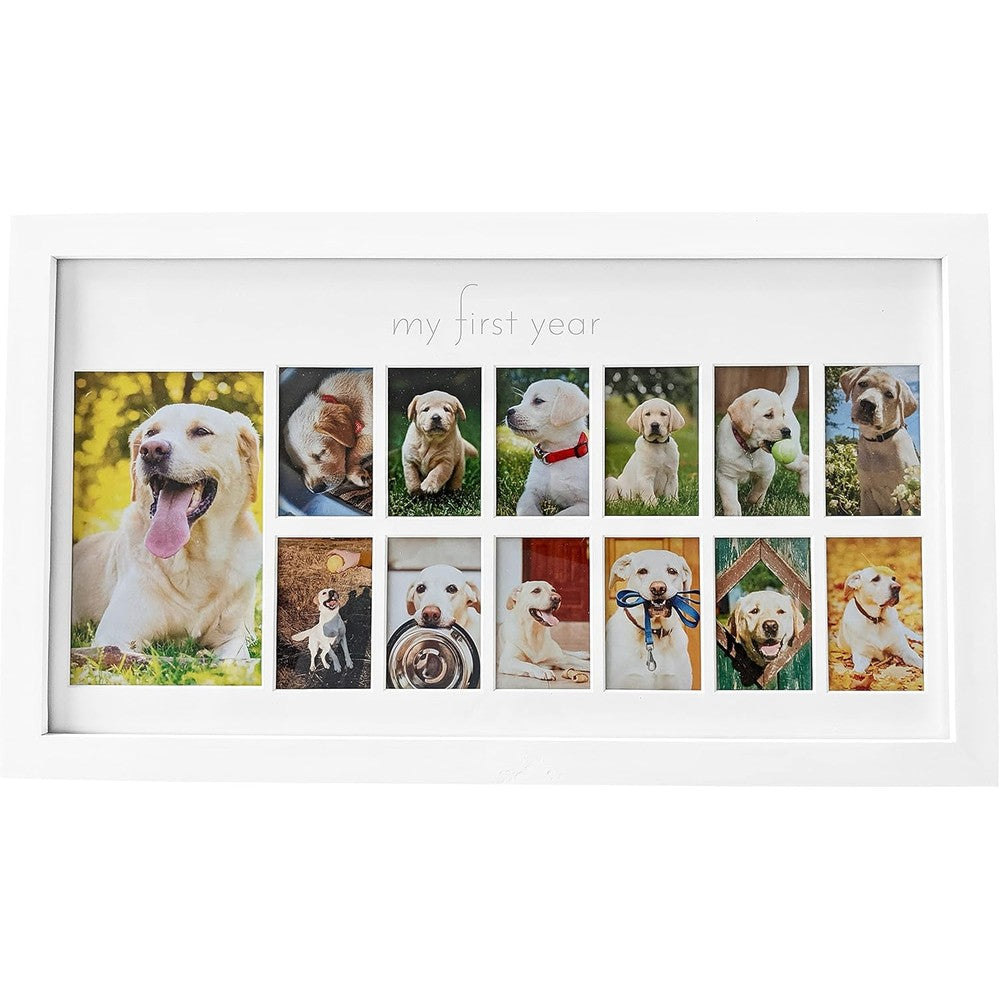 Green Pollywog My First Year dog picture frame front view