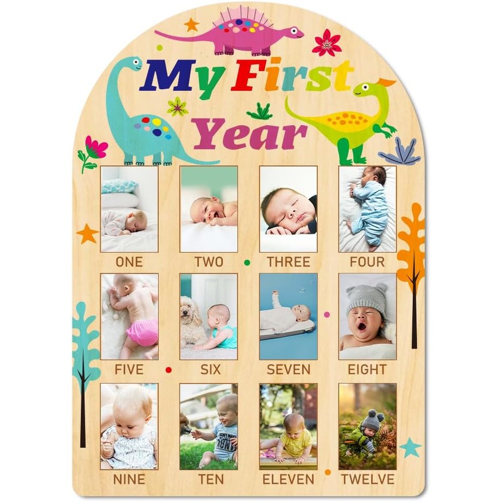 American Elm dinosaur theme my first year baby photo display board