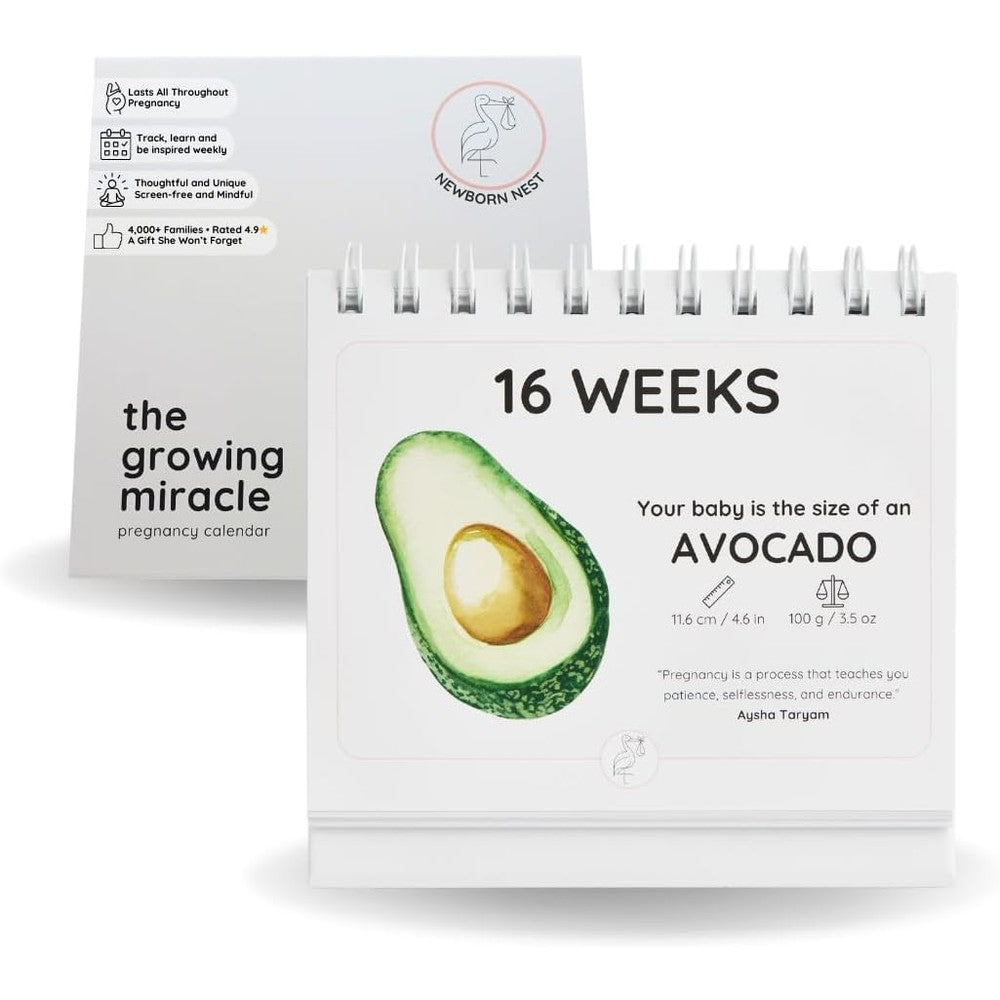 Newborn Nest Pregnancy Calendar front view on a desk