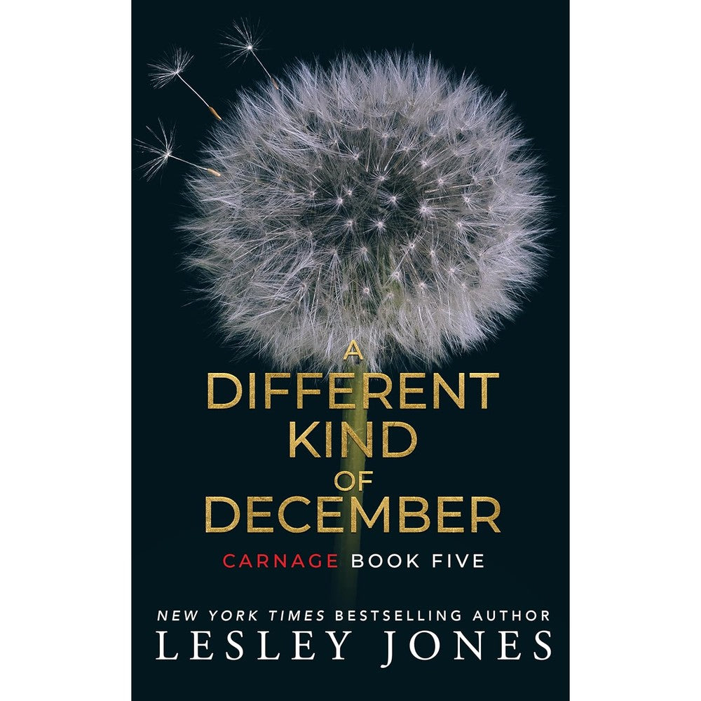 Lesley Jones A Different Kind Of December book cover front view