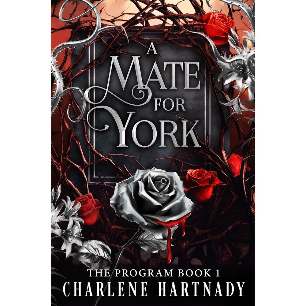 A Mate for York (The Program Book 1)