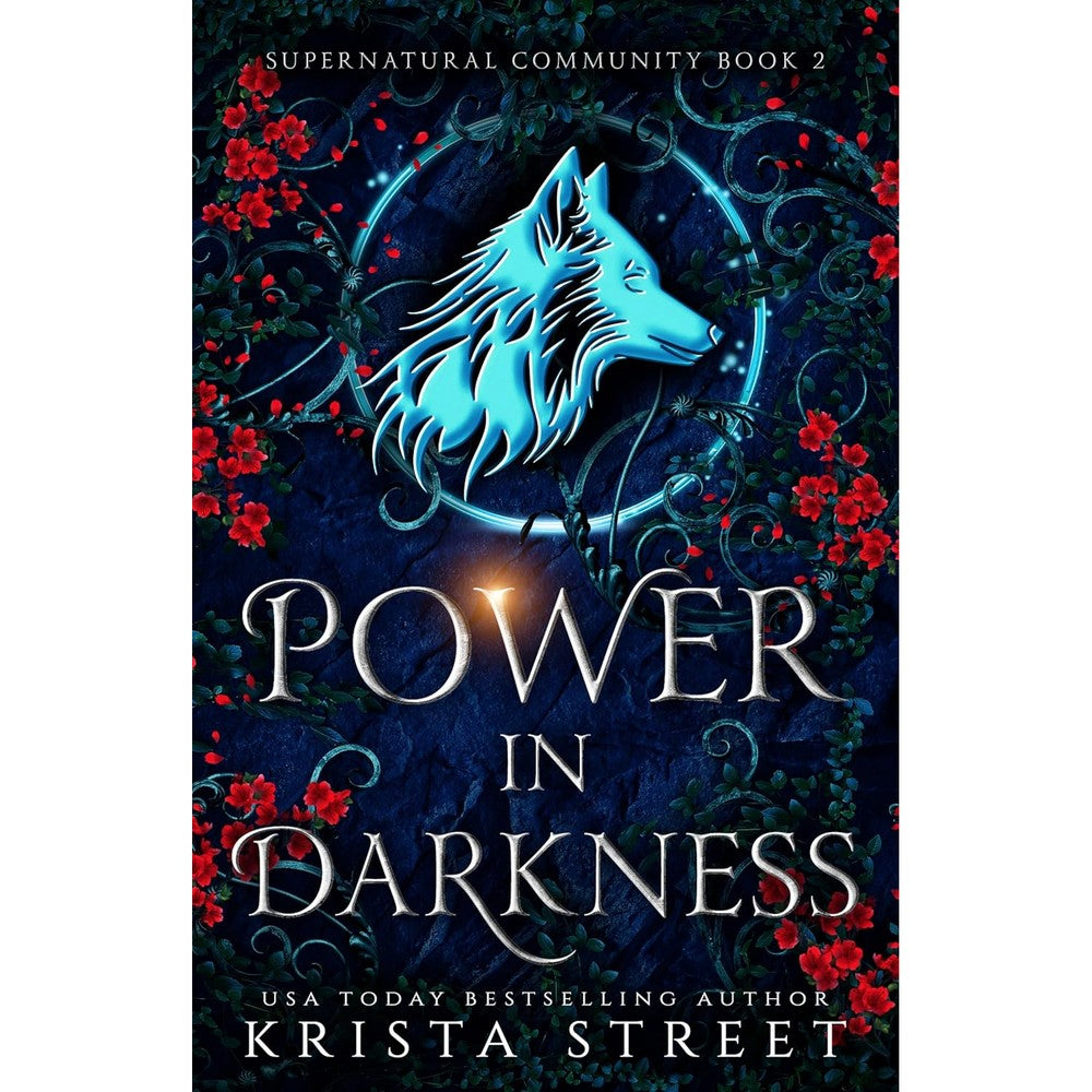 Power in Darkness (Supernatural Community Book 2)