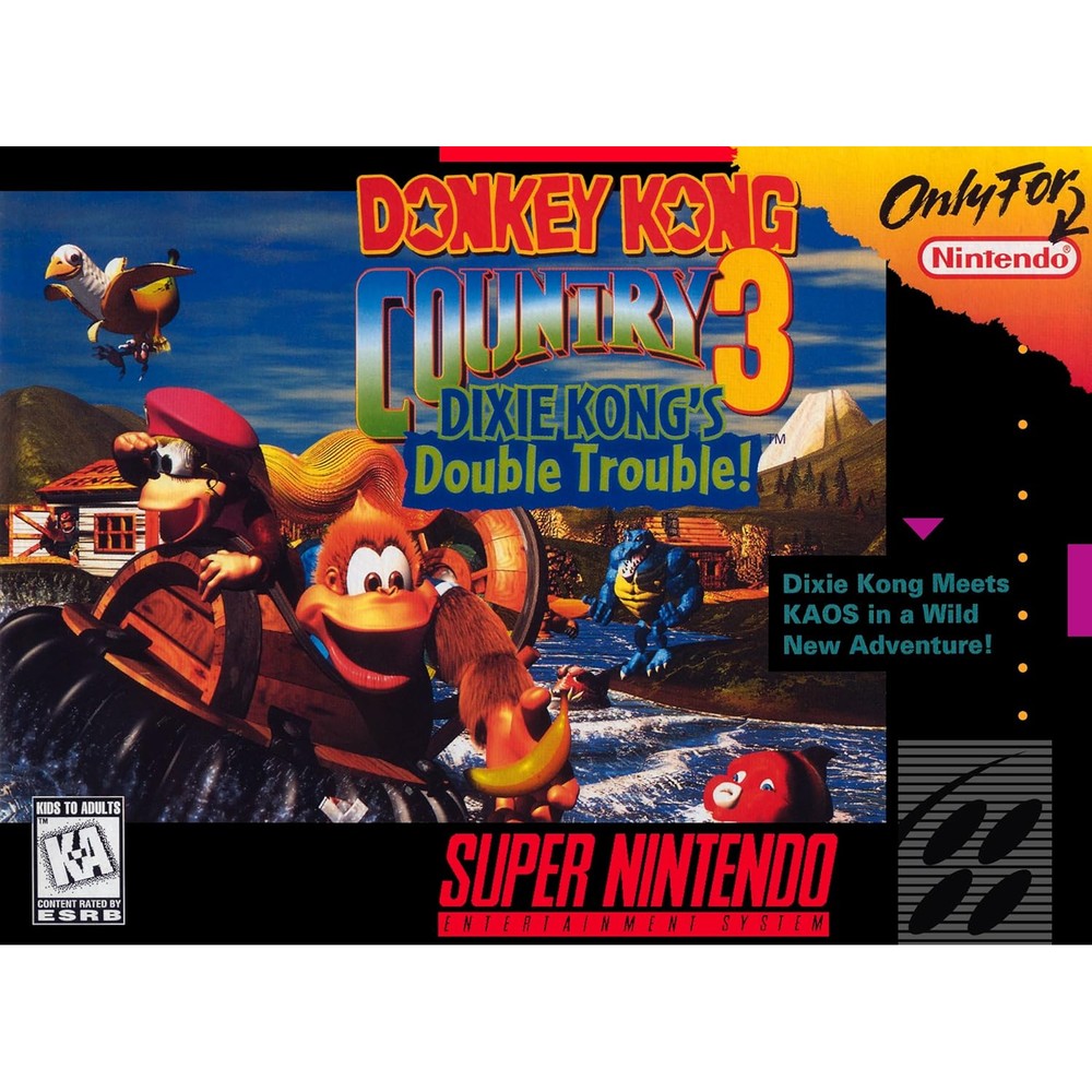 Nintendo Donkey Kong Country 3 Super Nintendo game cartridge front view