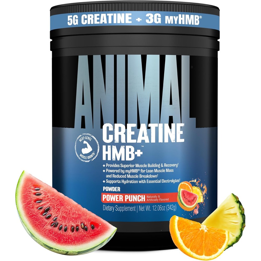 Animal Pak Creatine HMB Powder Power Punch container front view for premium muscle recovery.