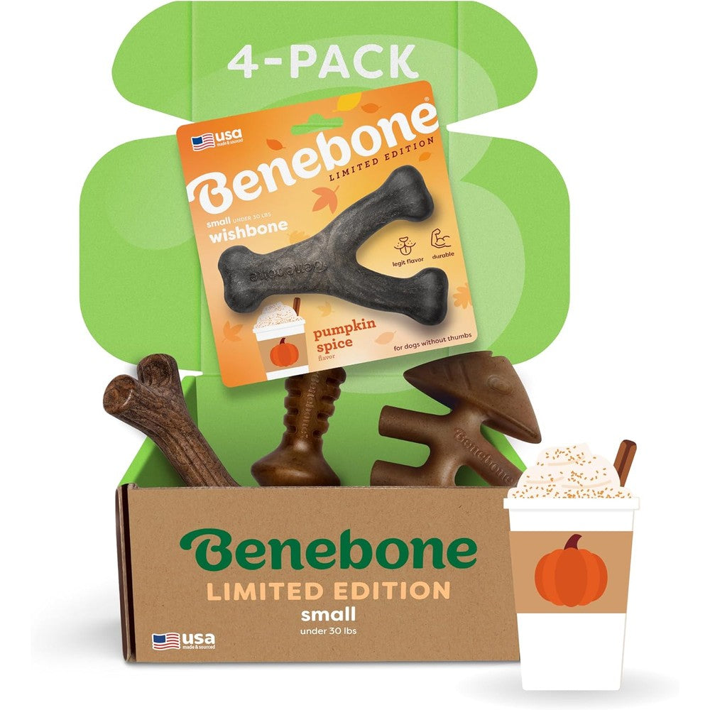 Benebone pumpkin wishbone dog chew toy front view of limited edition packaging