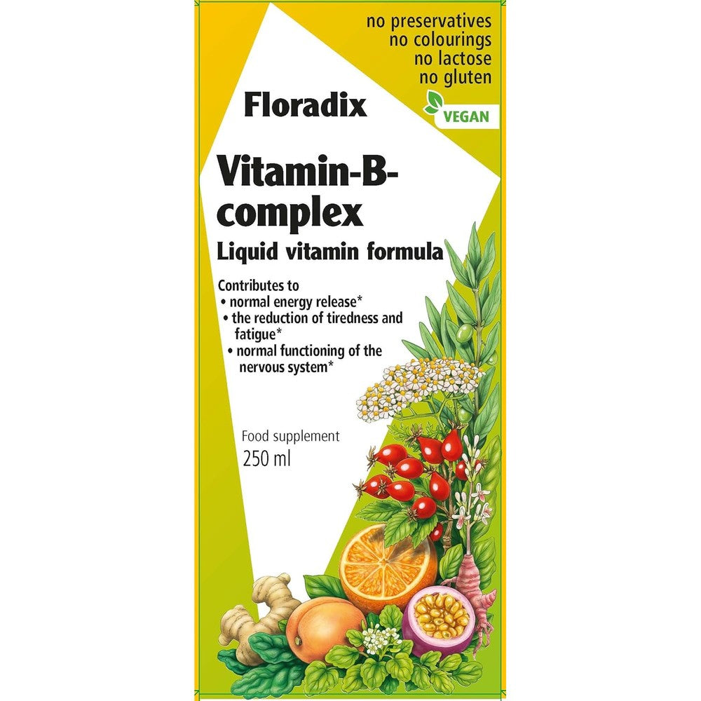 Floradix Vitamin B Complex Liquid Formula, 250 ml