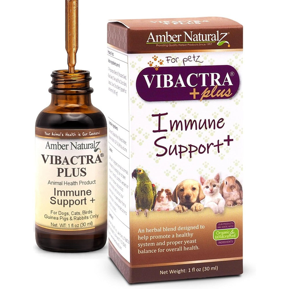 Amber NaturalZ Vibactra Plus Herbal Supplement For Pets Immune Health And Yeast Balance 1 Fluid Ounce Glass Bottle