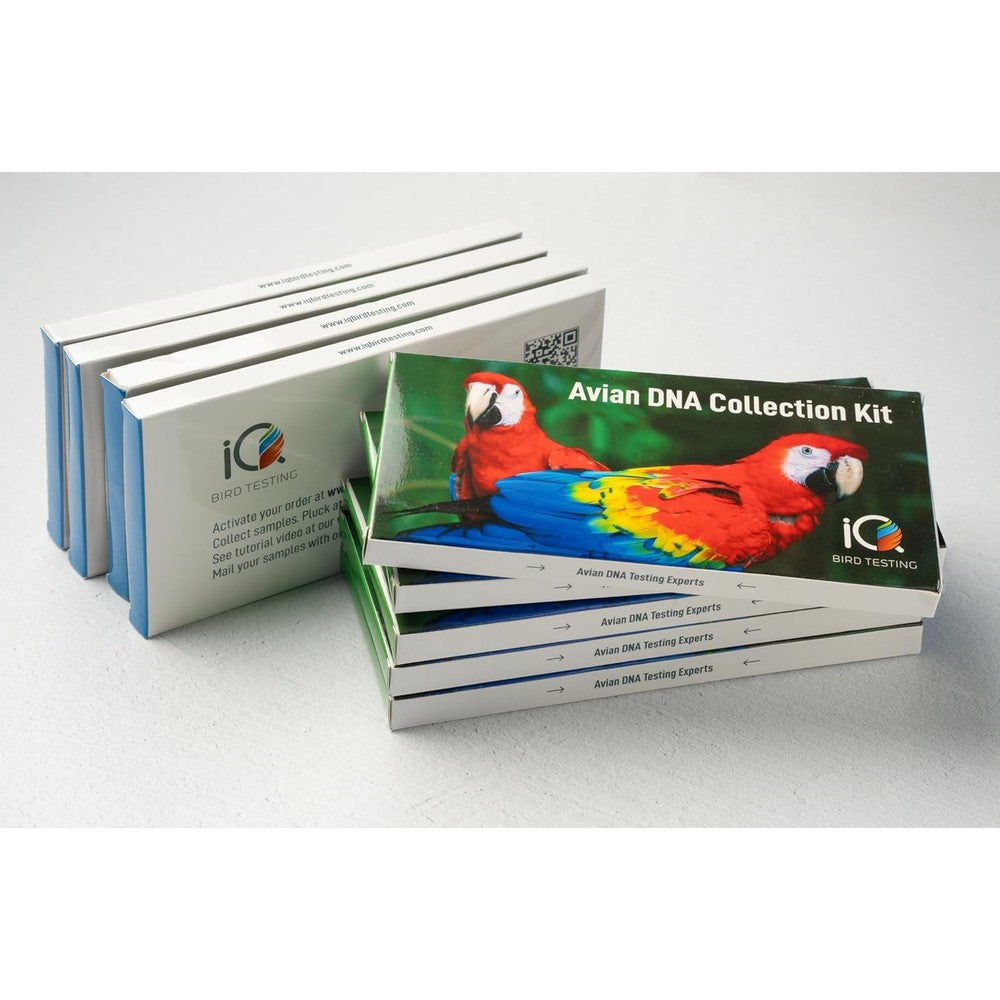 IQ Bird Testing Avian DNA Gender Test Kit For Accurate Sexing Using Feather Or Blood Samples Includes One Prepaid Laboratory Test