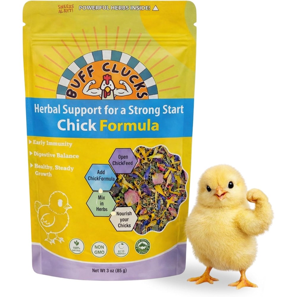 Buff Clucks Chick Formula Herbal Supplement For Baby Chicks Plant Based Daily Wellness Botanical Blend Three Ounces