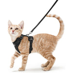 Rabbitgoo Escape Proof Cat Harness And Leash Set Extra Small Black Soft Mesh Adjustable Vest For Small Cats With Fifty Nine Inch Leash