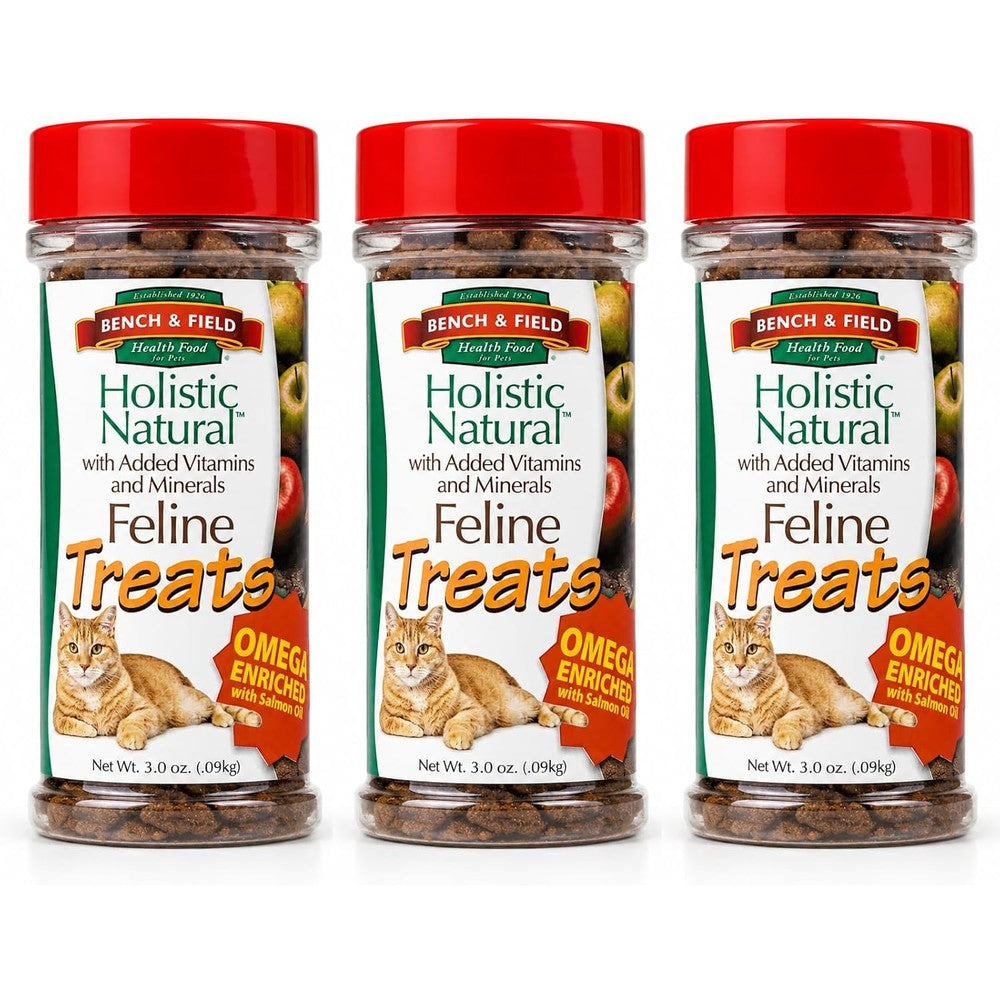 Bench & Field Holistic Natural Healthy Kitty Cat Treats Crunchy Fish Shaped Seafood Flavored Snacks 3 Ounce Pack Of 3 Bottles