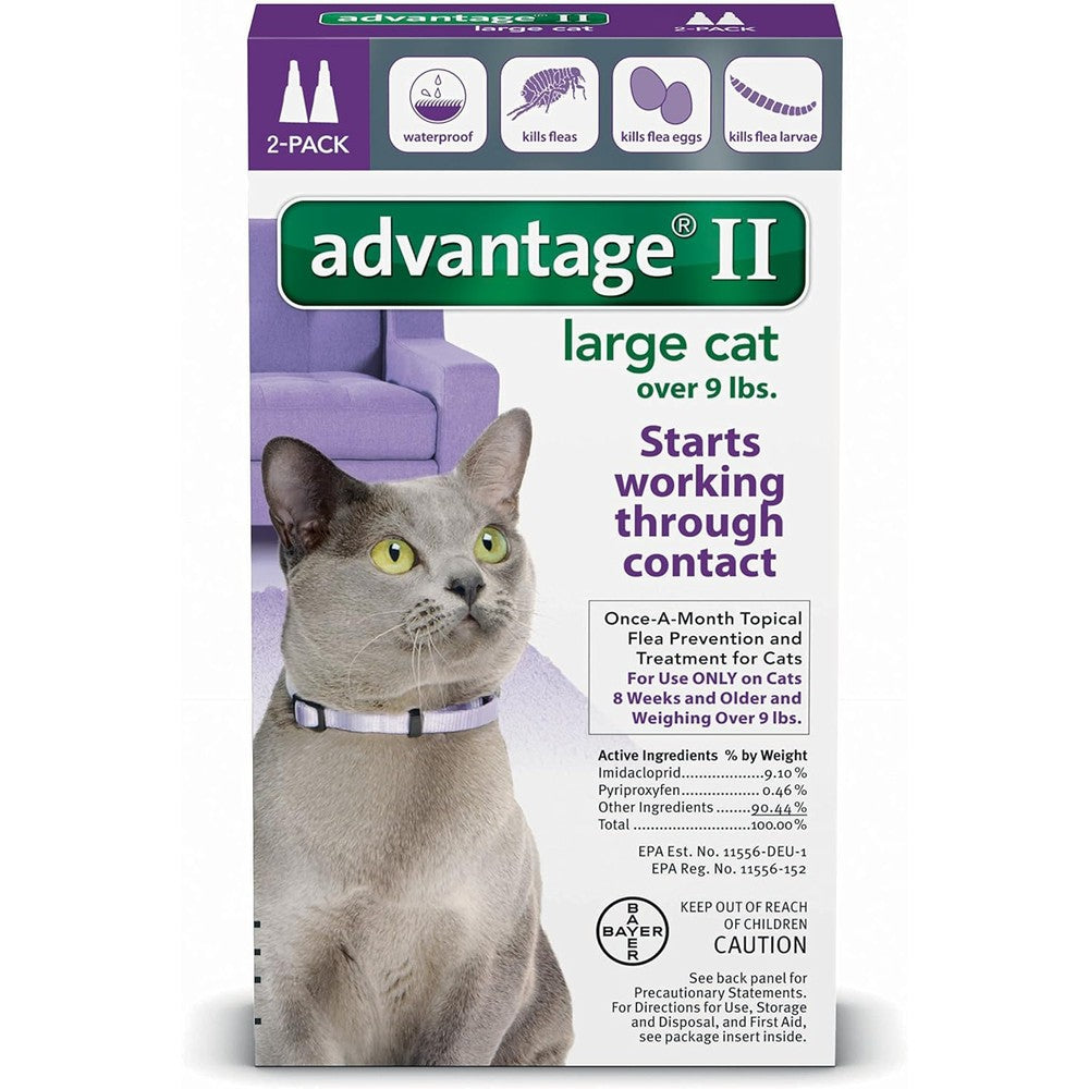 Bayer Advantage II Flea Control Large Cat packaging front view authentic topical flea prevention.