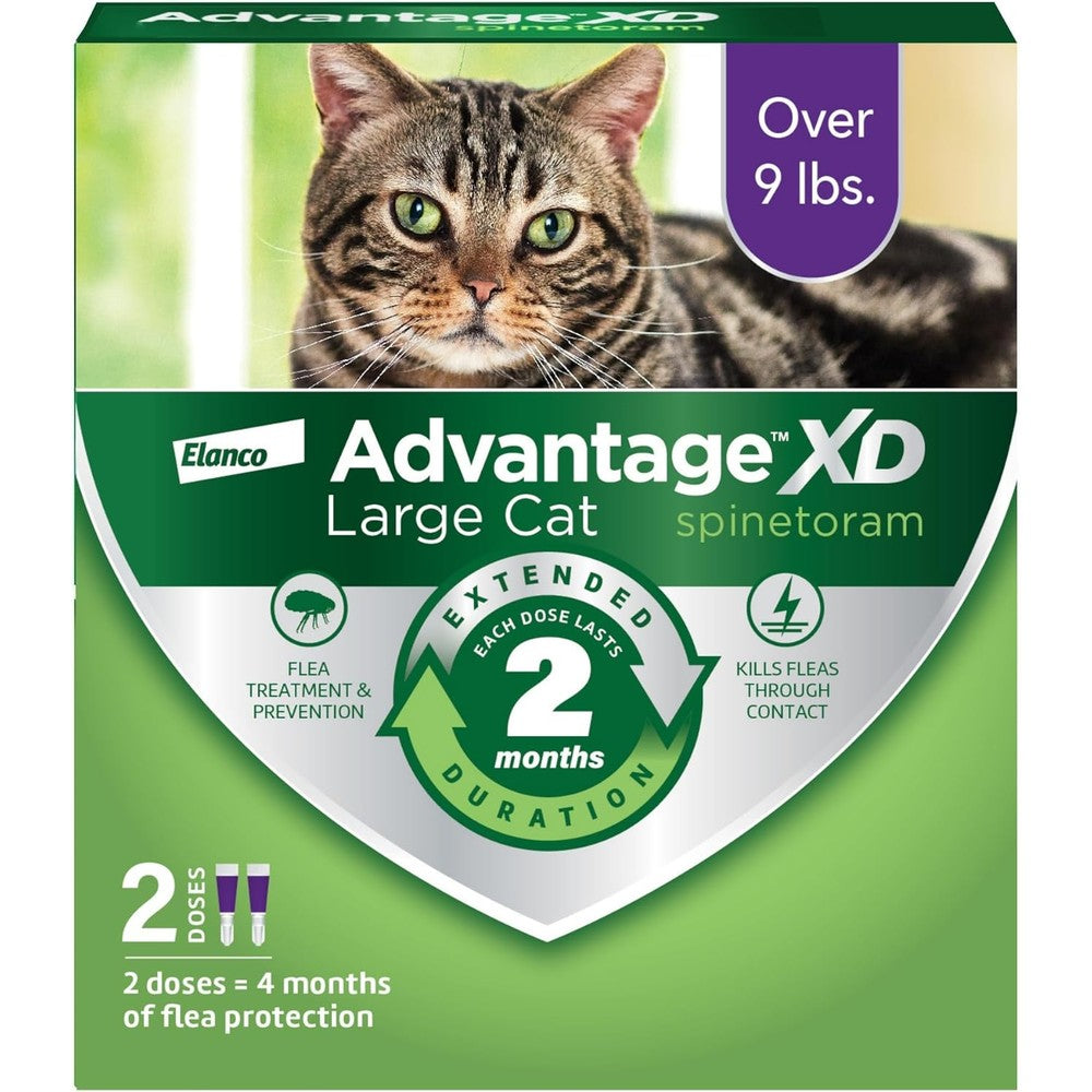 Advantage XD Large Cat Flea Prevention front packaging view