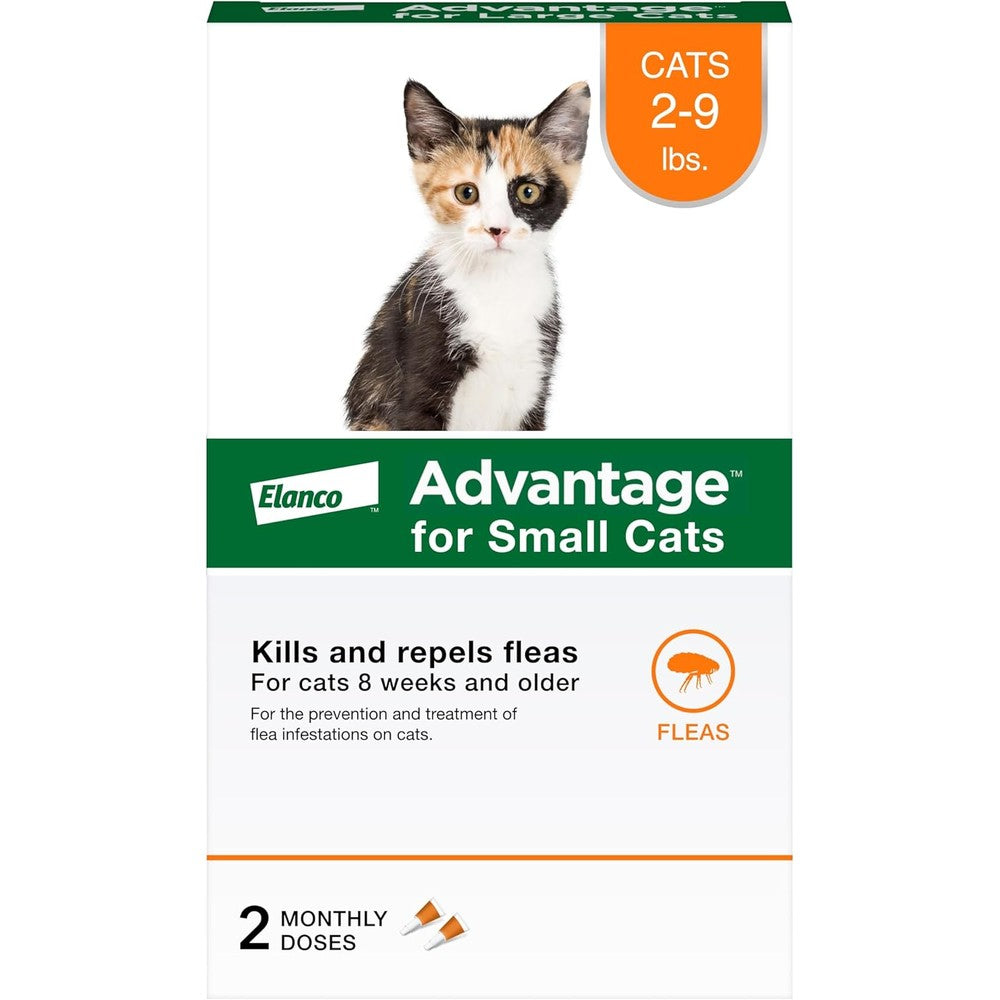 Advantage topical cat flea treatment front view packaging for small cats