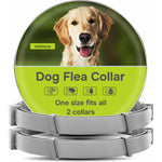 Monipgu Flea And Tick Prevention For Dogs Flea Collar 2 Count Adjustable Waterproof Natural Protection For Small And Large Breeds