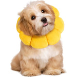 HOMBYS Soft Dog Cone for Dogs and Cats Cute and Fluffy Flower Shape Calming Recovery Elizabethan Collar Alternative Small Size Yellow