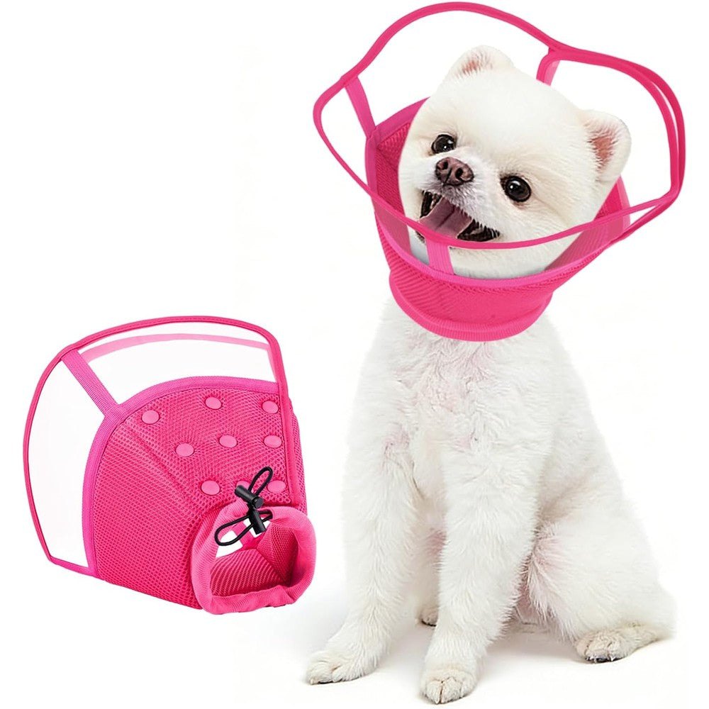 Recovery Collars & Cones