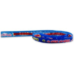 Red Vines Super Ropes red licorice candy 15 pack front view showing retail box packaging.