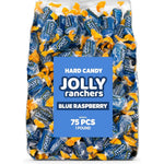 Candylish Blue Raspberry Jolly Rancher Hard Candy 1 Pound Bag front view