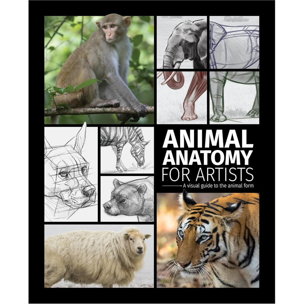 Animal Anatomy for Artists: A visual guide to the animal form