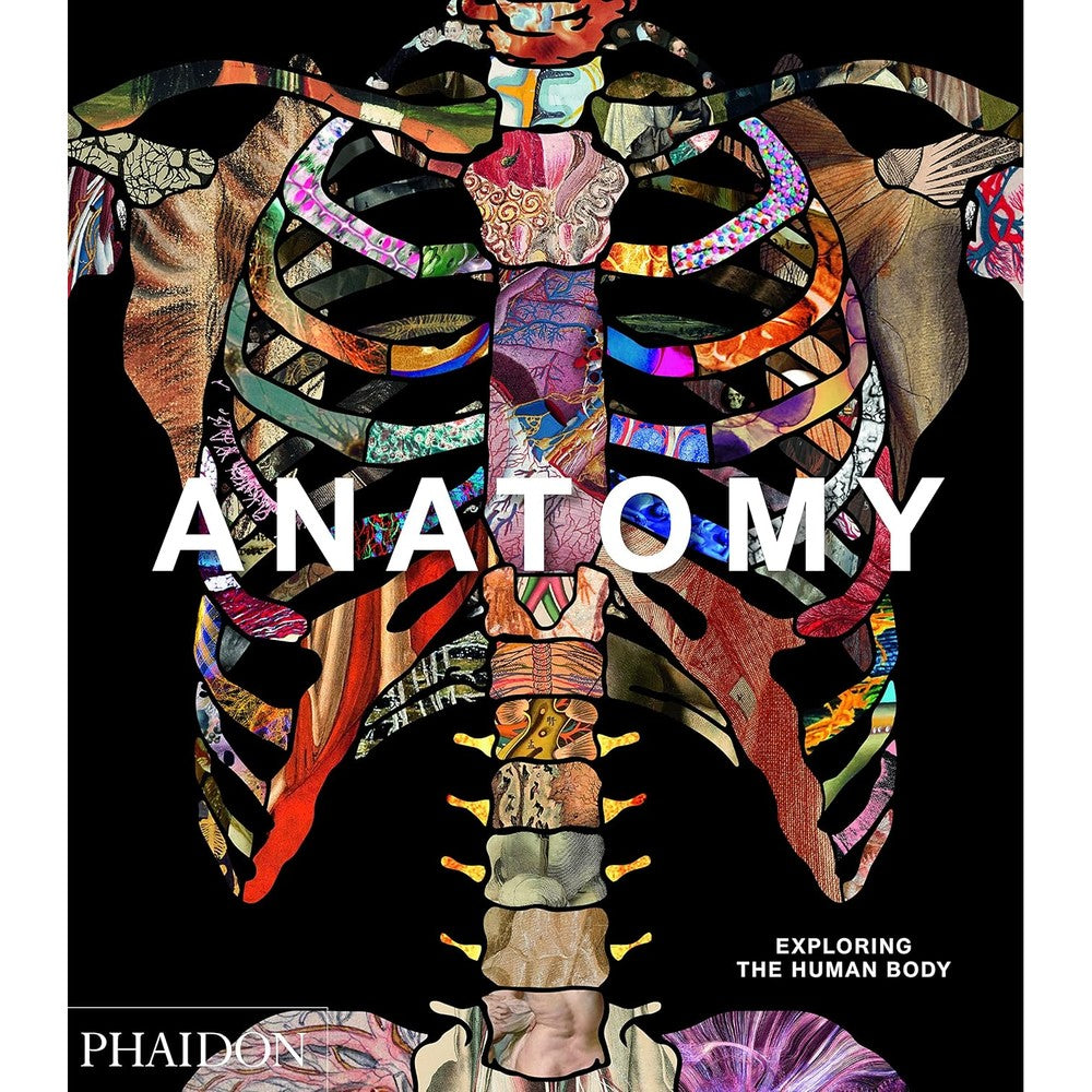 Anatomy: Exploring the Human Body