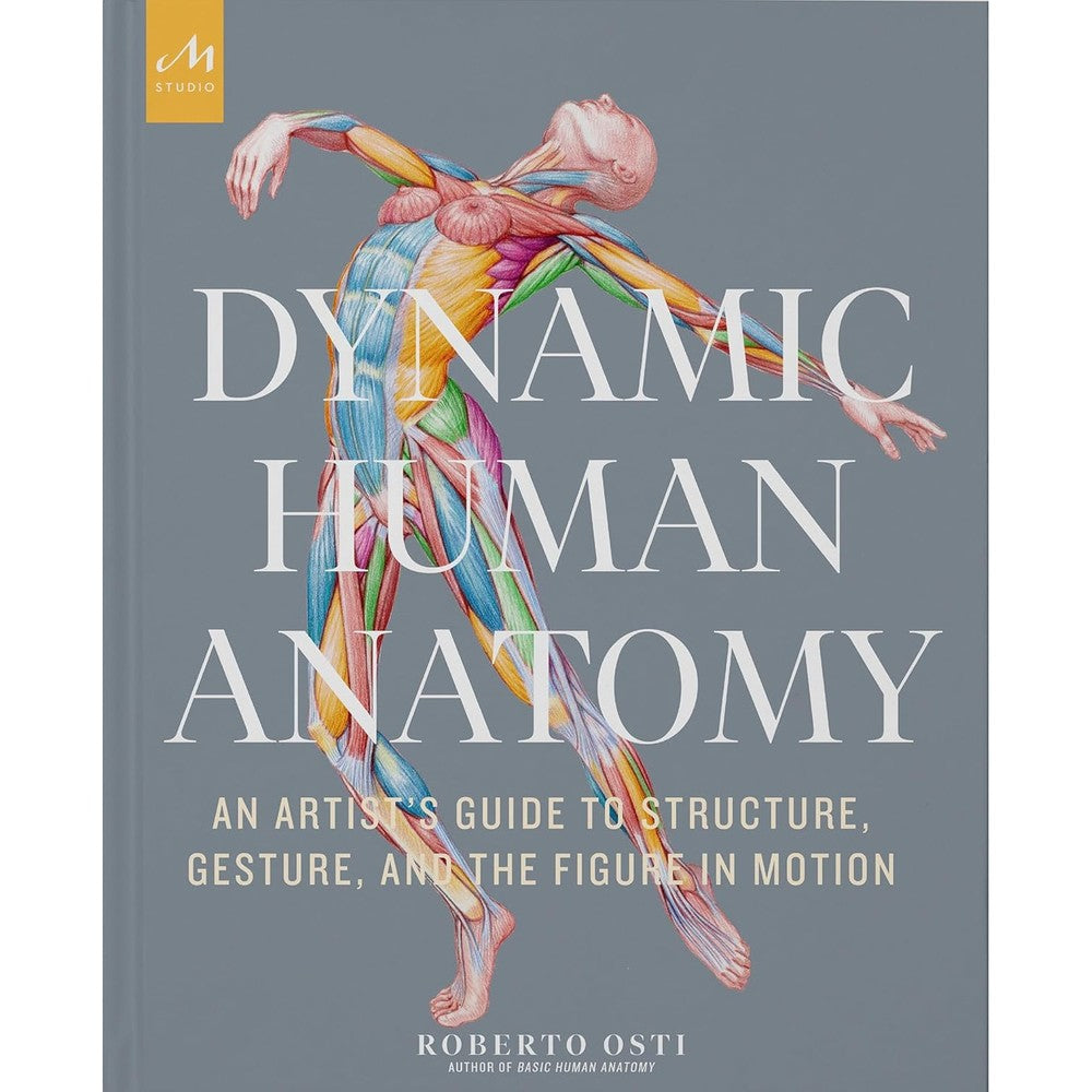 Dynamic Human Anatomy: An Artist's Guide to Structure, Gesture, and the Figure in Motion