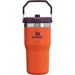 Stanley IceFlow Flip Straw Tumbler With Handle Double Wall Vacuum Insulated Stainless Steel Leak Resistant Water Bottle Tigerlily Plum 20 Ounce