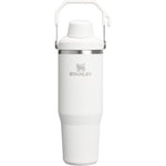 Stanley IceFlow 2.0 Fast Flow Tumbler With Handle Double Wall Vacuum Insulated Stainless Steel Leakproof Water Bottle Frost 30 Ounce