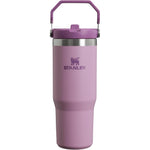 Stanley IceFlow Stainless Steel Flip Straw Tumbler With Handle Reusable Leak Resistant Vacuum Insulated Water Bottle Lilac 30 Ounce